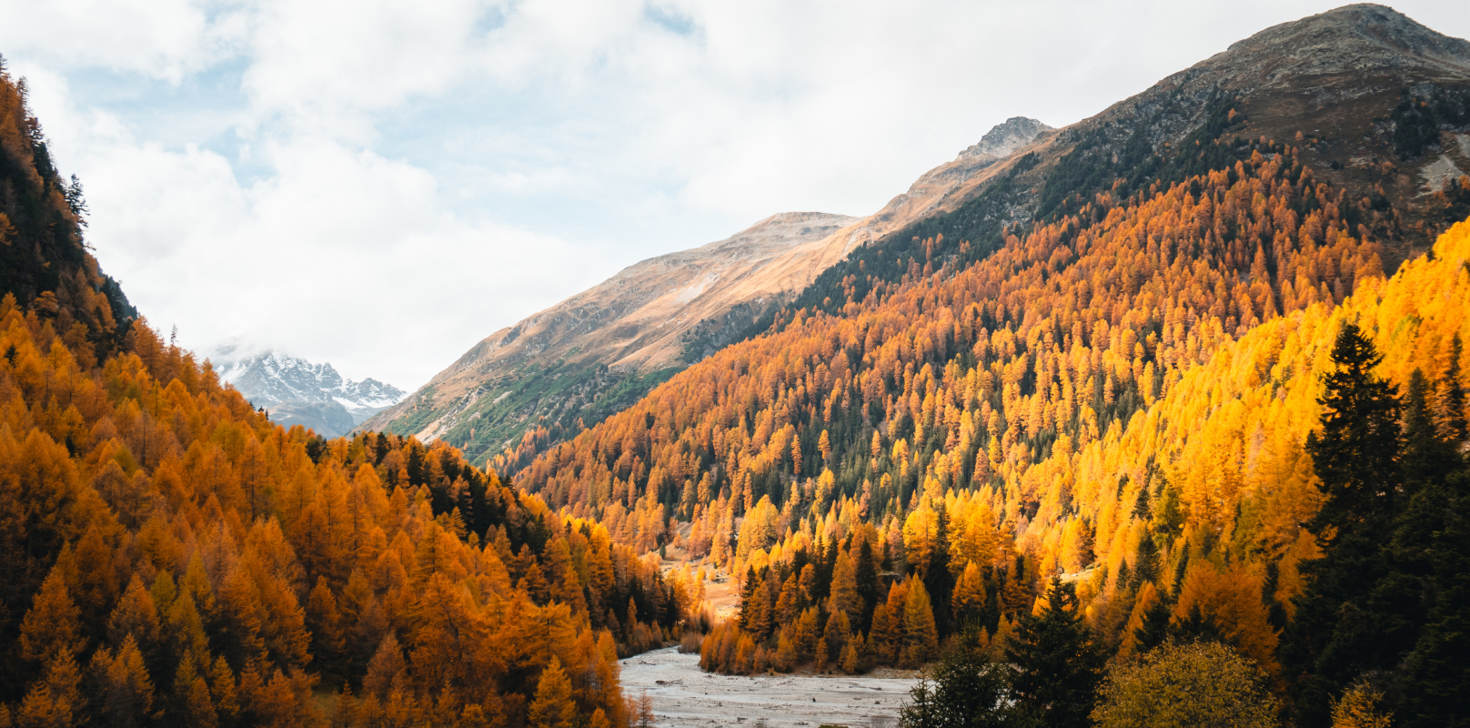 Cross-Border Tax Compliance: Key Challenges and Solutions for Global Investors